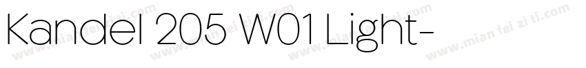 Kandel 205 W01 Light字体转换